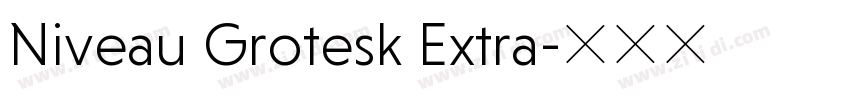 Niveau Grotesk Extra字体转换 Niveau Grotesk Extra字体转换